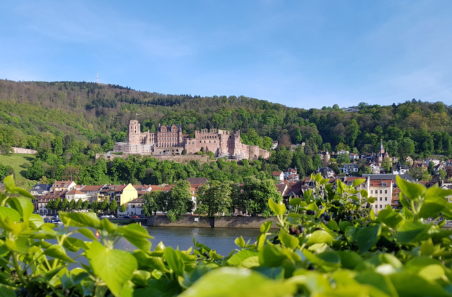 FranDiscovers Europa Deutschland Baden Wuerttemberg Heidelberg
