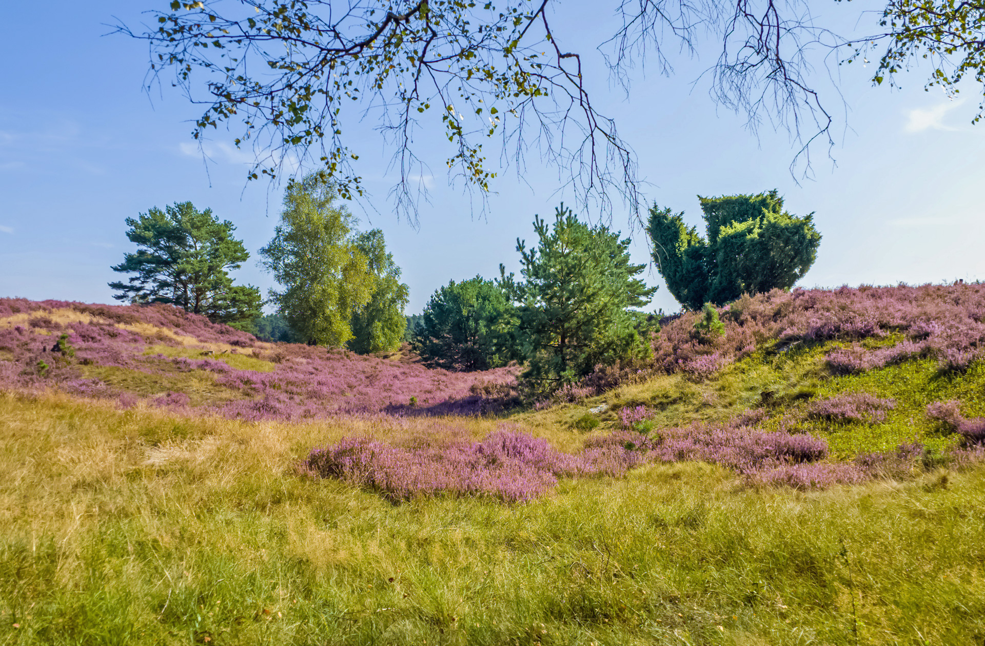 FranDiscovers Europa Deutschland Niedersachsen Lueneburger Heide Egestorf Sudermuehle