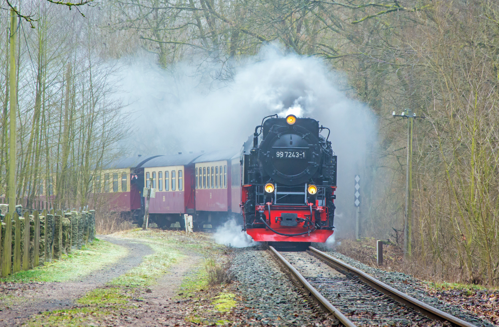 FranDiscovers Europa Deutschland Thueringen Harz Harzbahn