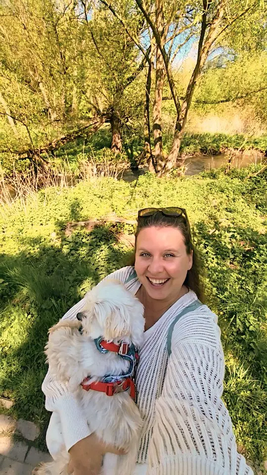 🇩🇪 Frühlingsspaziergang entlang der Leine und durch Hannover mit Bob.

#Malteser #Hund #Frühling #Leine #Hannover
